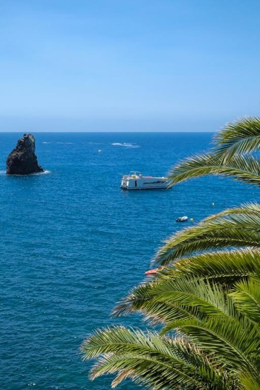 Guestready - A Sunny Delight In Funchal Leilighet Eksteriør bilde