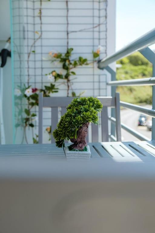 Guestready - A Sunny Delight In Funchal Leilighet Eksteriør bilde